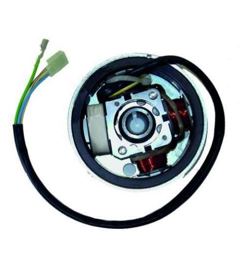 VOLANTE MAGNETICO 4 POLOS SUZUKI ADDRESS, DERBI VARIANT REVOLUTION LEONELLI R: 04163587
