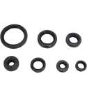 KIT ( 7 PIEZAS ) RETENES DE MOTOR MINARELLI HORIZONTAL Y VERTICAL ARTEIN R: KR000MN2R0420