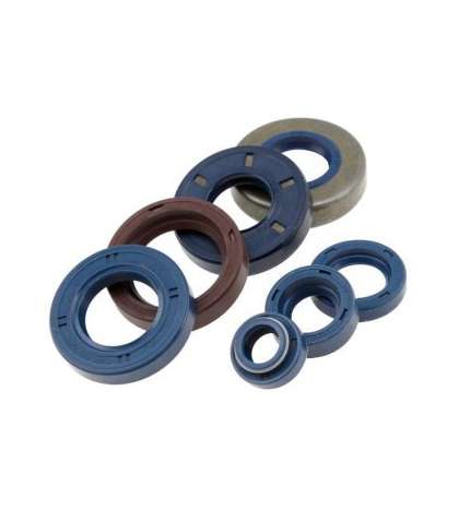 RETENES KIT ( 7 PIEZAS ) MINARELLI AM 6 TOP PERFORMANCES R: K070060
