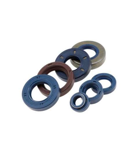 RETENES KIT ( 7 PIEZAS ) MINARELLI AM 6 TOP PERFORMANCES R: K070060