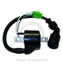 BOBINA DE ALTA SUZUKI BURGMAN 125/ 150 02/06 CON CABLE SGR R: 04168109