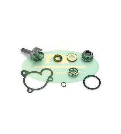 KIT REPARACIÓN BOMBA YAMAHA YP 250/270 - TOP PERFOMANCES - R: AA00806