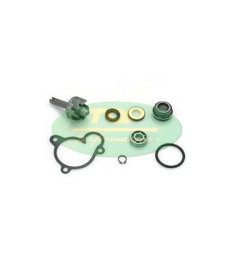 KIT REPARACIÓN BOMBA YAMAHA YP 250/270 - TOP PERFOMANCES - R: AA00806