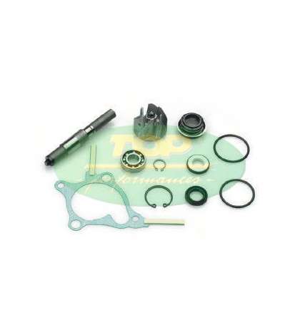 KIT REPARACIÓN BOMBA AGUA HONDA FORESIGHT 250 4 T. - TOP PERFOMANCES - R: AA00814