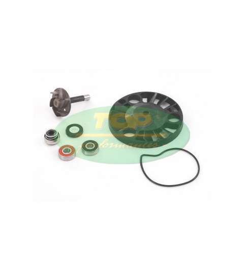 KIT REPARACIÓN BOMBA AGUA APRILIA/PIAGGIO 125/200 - TOP PERFOMANCES - R: AA00817