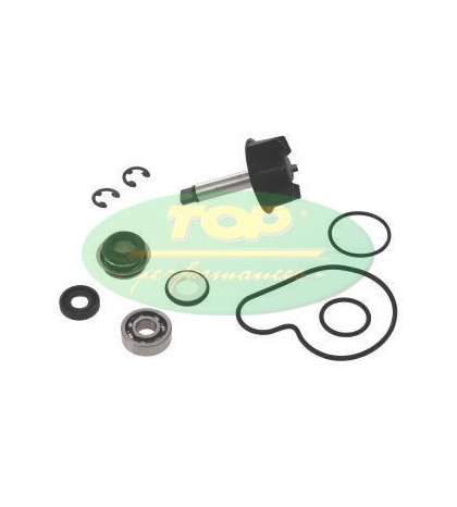 KIT REPARACIÓN BOMBA AGUA SUZUKI BURGMAN 125/150 - TOP PERFOMANCES - R: AA00819
