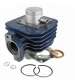 CILINDRO PEUGEOT LUDIX/SPEEDFIGHT 50 CARENZI R: 031000K