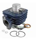 CILINDRO PEUGEOT LUDIX 50 ONE / SPEEDFIGHT 3/4 50 CARENZI R: 031000K