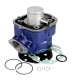 CILINDRO DERBI/APRILIA MOTOR PIAGGIO EURO 3 CARENZI R: 031000L