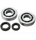 KIT RODAMIENTOS Y RETENES CIGUEÑAL AM 6 RACING CARENZI / SKF R: 100011