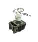 CILINDRO PIAGGIO LIBERTY 125, VESPA LX 125 4 TIEMPOS AIRE RMS R: 10 0080 531