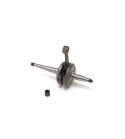 CIGUEÑAL DAELM S FIVE 50 / CORDI 50 BARIKIT R: CIG 96