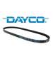 CORREA YAMAHA AEROX 50 DAYCO 7167/1 R: DV 81