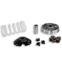 VARIADOR HONDA SH 100 / BALI 100 C.C. - MALOSSI - R: 5111364