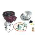 EQUIPOMOTOR MINARELLI AM 6 TOP ROSA RACING ( CULATA 2 PIEZAS ) D. PISTÓN 49,50 TOP PERFOMANCES R: 9921150