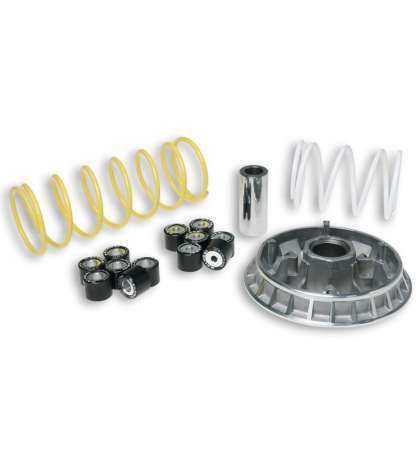 VARIADOR HONDA PANTHEON 125/150 MALOSSI R: 5111261