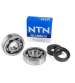 KIT RODAMIENTOS CIGUEÑAL MINARELLI AM 6 NTN R: 100010