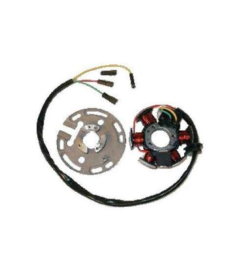 STATOR DUCATI 6 POLOS 12V 100W MINARELLI AM6 R: 04967970