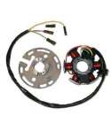 STATOR DUCATI 6 POLOS 12V 100W MINARELLI AM6 R: 04967970