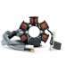 STATOR ENCENDIDO SCOOTER TYPHOON 50 - TNT - R: 180310B