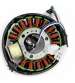 STATOR YAMAHA MAJESTY 125 I 07 / 09 TNT R: 180312C
