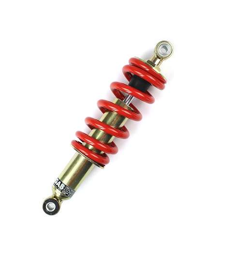 AMORTIGUADOR DE GAS BETA RRT 50 L: 295 MM. TNT R: 520515