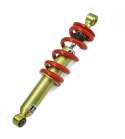 AMORTIGUADOR DE GAS DERBI SENDA 50 C.C. L: 325 MM. TNT R: 520488
