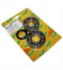 KIT RODAMIENTOS Y RETENES CIGUEÑAL YAMAHA X MAX 250 / APRILIA LEONARDO 250 CARBURACIÓN TOP PERFORMANCES R: KK01007