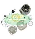 EQUIPOMOTOR ( HIERRO ) DERBI 50 / APRILIA RS 50 ( MOTOR PIAGGIO E3 ) C/ 44 MM. D. PISTÓN 50 TOP PERFORMANCES R: 9934260