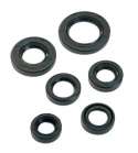 KIT RETENES MOTOR COMPLETO PEUGEOT SCOOTER 50 ( 6 PIEZAS ) R: 082104