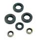 KIT RETENES MOTOR COMPLETO DERBI SENDA 50 ( MOTOR DERBI ) 6 PIEZAS R: 082106