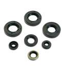 KIT RETENES MOTOR COMPLETO DERBI SENDA MOTOR PIAGGIO 06 ( 7 PIEZAS ) R: 082116