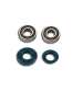 KIT RODAMIENTOS Y RETENES YAMAHA AEROX 50 / JOG RR 50 FAG TBP63 R 082312