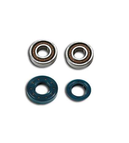 KIT RODAMIENTOS Y RETENES YAMAHA AEROX 50 / JOG RR 50 FAG TBP63 R 082312