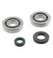 KIT RODAMIENTOS Y RETENES PGO BIG MAX 50 2 T. R: 082307