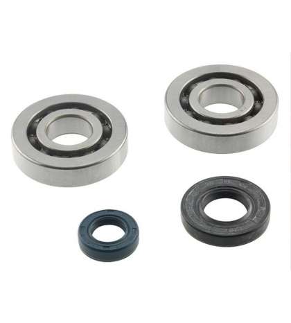 KIT RODAMIENTOS Y RETENES PGO BIG MAX 50 2 T. R: 082307