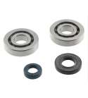 KIT RODAMIENTOS Y RETENES CIGUEÑAL PGO BIG MAX 50 2 T. R: 082307