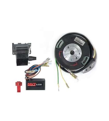 ROTOR ELECTRÓNICO MVT PREMIUM INTERNO CON LUZ (PREM 09) PIAGGIO SCOOTER 50 R: 180125
