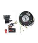 ROTOR ELECTRÓNICO MVT PREMIUM INTERNO CON LUZ (PREM 09) PIAGGIO SCOOTER 50 R: 180125