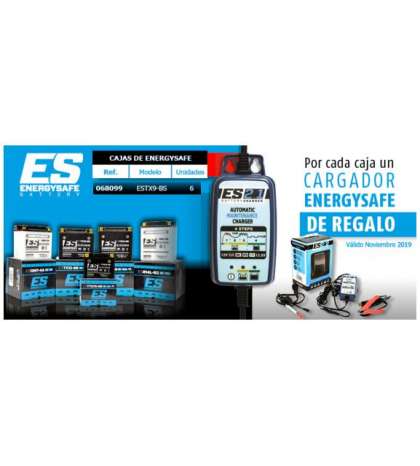 PACK ( 6 BATERÍAS ) ESTX9 BS ENERGYSAFE + CARGADOR BATERÍAS R: P9C