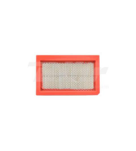FILTRO DE AIRE RIEJU RS4 125 / DERBI SENDA DRD 125 TECNIUM R: 16756