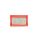 FILTRO DE AIRE RIEJU RS4 125 / DERBI SENDA DRD 125 TECNIUM R: 16756