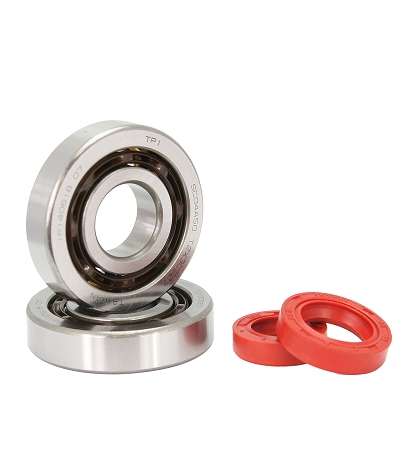 KIT RODAMIENTOS Y RETENES TPI PIAGGIO ZIP / TYPHOON / NRG / GILERA STALKER / RUNNER R: 100020B