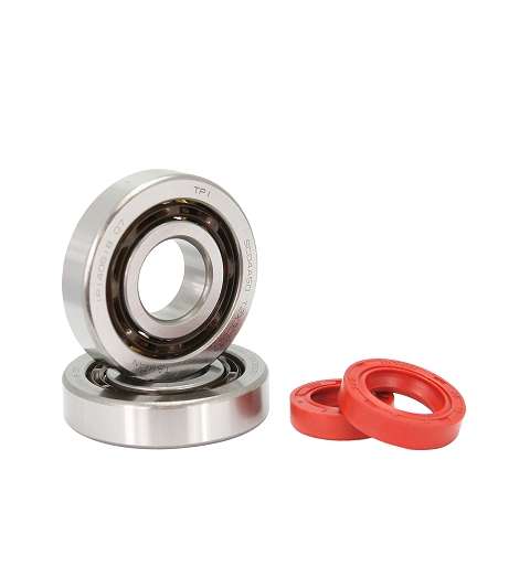 KIT RODAMIENTOS Y RETENES TPI PIAGGIO ZIP / TYPHOON / NRG / GILERA STALKER / RUNNER R: 100020B