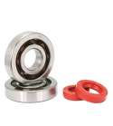 KIT RODAMIENTOS Y RETENES CIGUEÑAL PIAGGIO ZIP / TYPHOON / NRG / GILERA STALKER / RUNNER R: 100020B