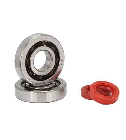 KIT RODAMIENTOS TPI (6204 TVH C4 ) + RETENES ADAPT PEUGEOT LUDIX / JET FORCE / SPEEDFIGHT 3 R: 100020E