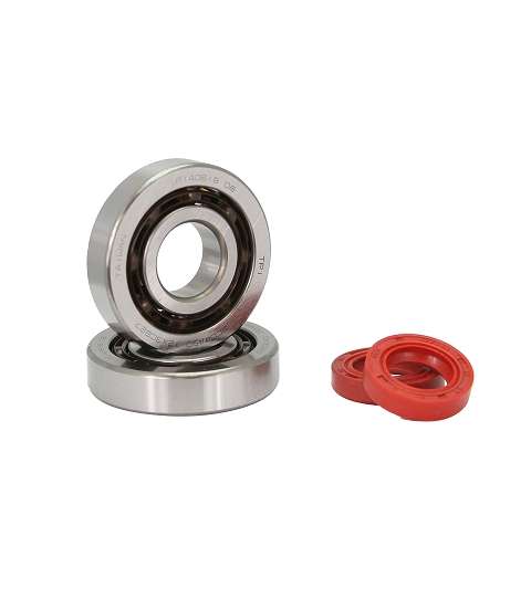KIT RODAMIENTOS TPI (6204 TVH C4 ) + RETENES ADAPT PEUGEOT LUDIX / JET FORCE / SPEEDFIGHT 3 R: 100020E