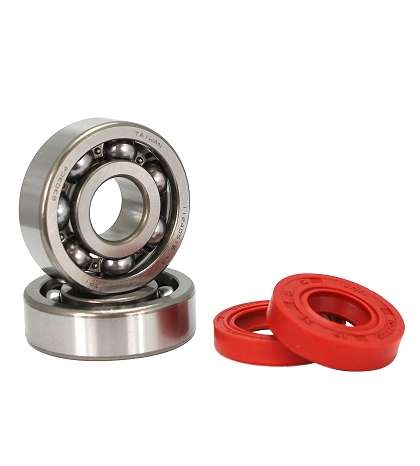 KIT RODAMIENTOS TPI (6303 TVH C4 ) + RETENES ADAPT AM 6 R: 100020D