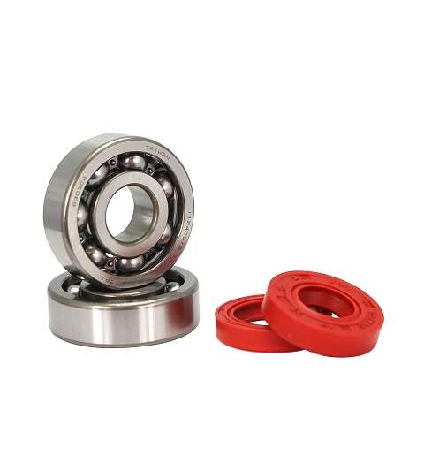 KIT RODAMIENTOS TPI (6303 TVH C4 ) + RETENES ADAPT AM 6 R: 100020D