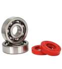 KIT RODAMIENTOS TPI (6303 TVH C4 ) + RETENES CIGUEÑAL MINARELLI AM 6 R: 100020D
